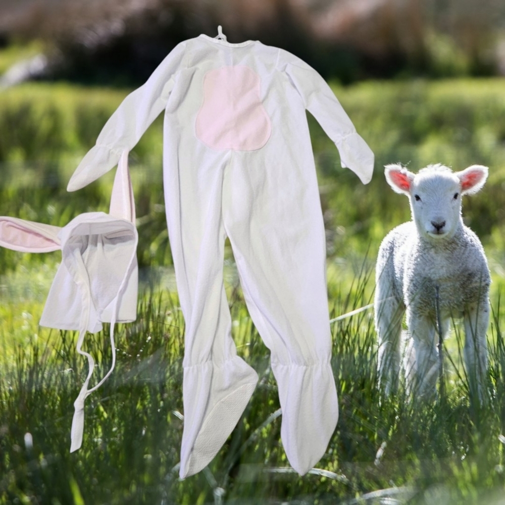 Made in the USA White Bunny Costume For 2-4 years